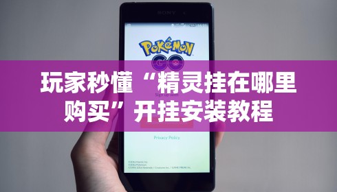 玩家秒懂“精灵挂在哪里购买”开挂安装教程