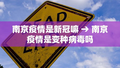 南京疫情是新冠嘛 → 南京疫情是变种病毒吗