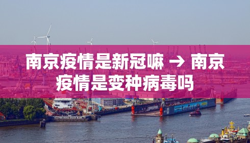 南京疫情是新冠嘛 → 南京疫情是变种病毒吗 南京疫情是新冠嘛 → 南京疫情是变种病毒吗