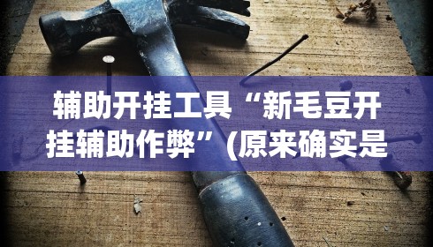 辅助开挂工具“新毛豆开挂辅助作弊”(原来确实是有挂)