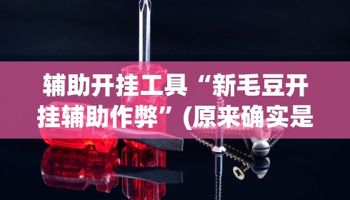 辅助开挂工具“新毛豆开挂辅助作弊”(原来确实是有挂) 