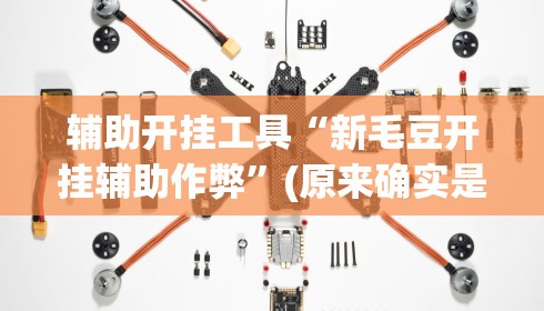 辅助开挂工具“新毛豆开挂辅助作弊	”(原来确实是有挂) 
