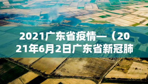 2021广东省疫情—（2021年6月2日广东省新冠肺炎疫情情况）