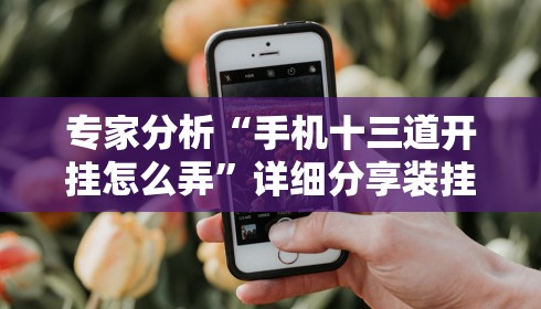 专家分析“手机十三道开挂怎么弄”详细分享装挂步骤