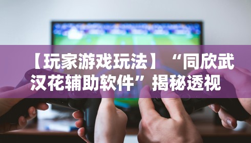 【玩家游戏玩法】“同欣武汉花辅助软件”揭秘透视辅助万能挂
