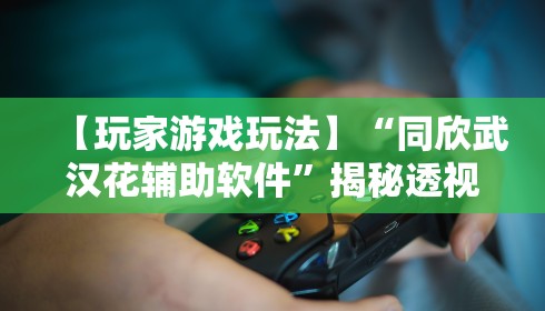 【玩家游戏玩法】“同欣武汉花辅助软件”揭秘透视辅助万能挂