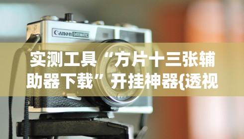 实测工具“方片十三张辅助器下载”开挂神器{透视辅助}全揭秘