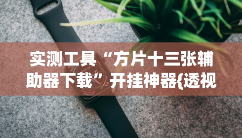 实测工具“方片十三张辅助器下载	”开挂神器{透视辅助}全揭秘