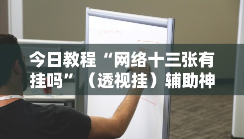 今日教程“网络十三张有挂吗”（透视挂）辅助神器教程