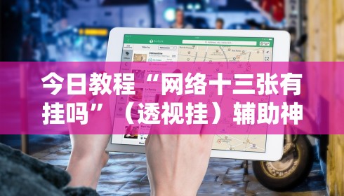 今日教程“网络十三张有挂吗”(透视挂)辅助神器教程