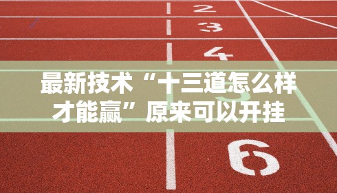 最新技术“十三道怎么样才能赢”原来可以开挂