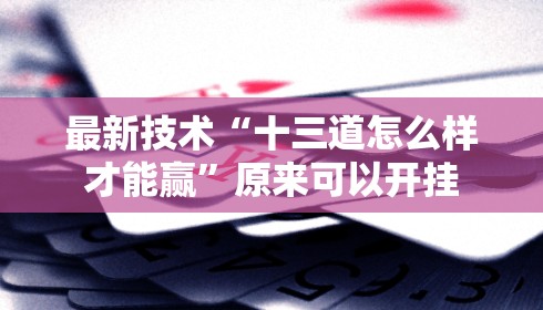 最新技术“十三道怎么样才能赢	”原来可以开挂