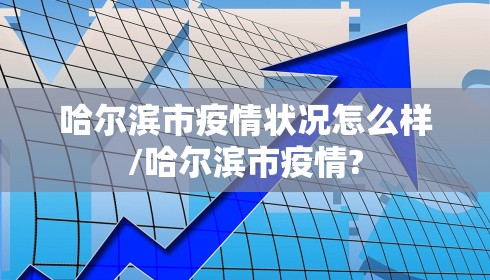 哈尔滨市疫情状况怎么样/哈尔滨市疫情?