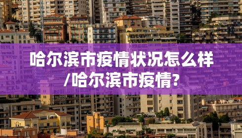 哈尔滨市疫情状况怎么样/哈尔滨市疫情?