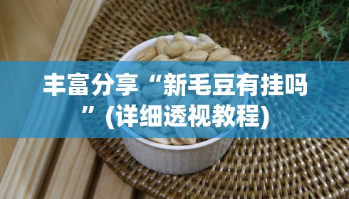 丰富分享“新毛豆有挂吗”(详细透视教程)