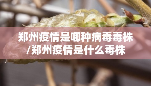 郑州疫情是哪种病毒毒株/郑州疫情是什么毒株
