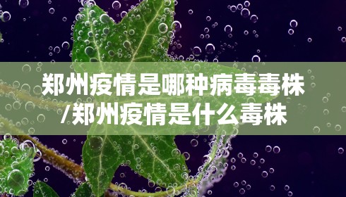 郑州疫情是哪种病毒毒株/郑州疫情是什么毒株 郑州疫情是哪种病毒毒株/郑州疫情是什么毒株
