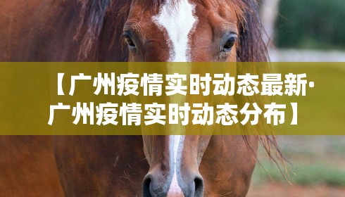 【广州疫情实时动态最新·广州疫情实时动态分布】