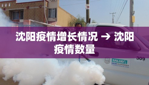 沈阳疫情增长情况 → 沈阳疫情数量