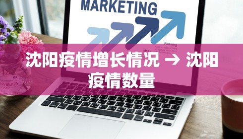 沈阳疫情增长情况 → 沈阳疫情数量