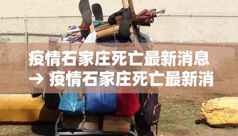 疫情石家庄死亡最新消息 → 疫情石家庄死亡最新消息新闻