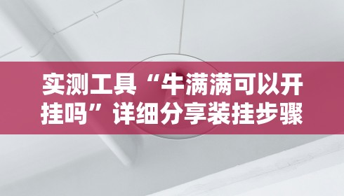 玩家辅助神器“拱趴13水系统发牌原理	”开挂详细教程
