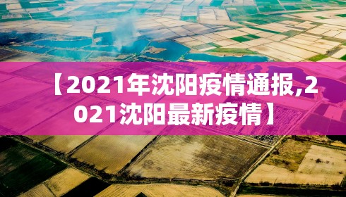 【2021年沈阳疫情通报,2021沈阳最新疫情】 【2021年沈阳疫情通报,2021沈阳最新疫情】