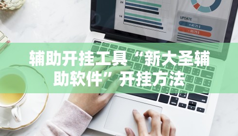 辅助开挂工具“新大圣辅助软件”开挂方法