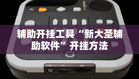 辅助开挂工具“新大圣辅助软件”开挂方法