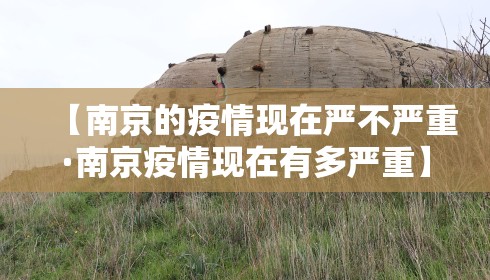 【南京的疫情现在严不严重·南京疫情现在有多严重】