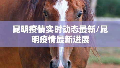 昆明疫情实时动态最新/昆明疫情最新进展