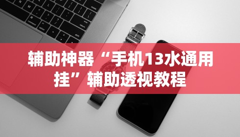 辅助神器“手机13水通用挂”辅助透视教程