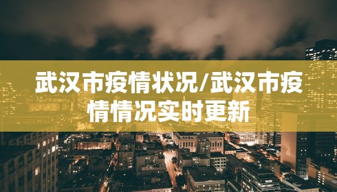 武汉市疫情状况/武汉市疫情情况实时更新