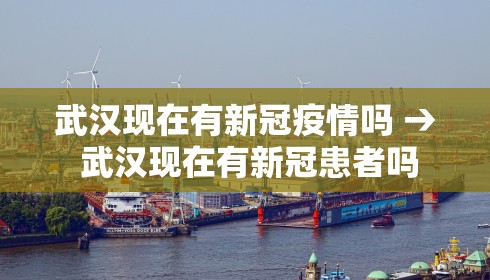 武汉现在有新冠疫情吗 → 武汉现在有新冠患者吗