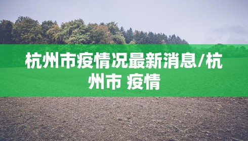 杭州市疫情况最新消息/杭州市 疫情