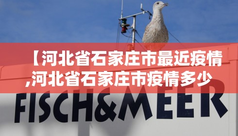 【河北省石家庄市最近疫情,河北省石家庄市疫情多少例】