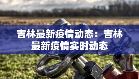 吉林最新疫情动态：吉林最新疫情实时动态