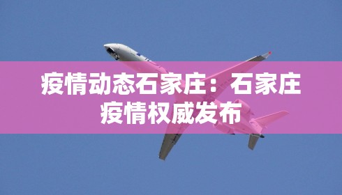 疫情动态石家庄：石家庄疫情权威发布