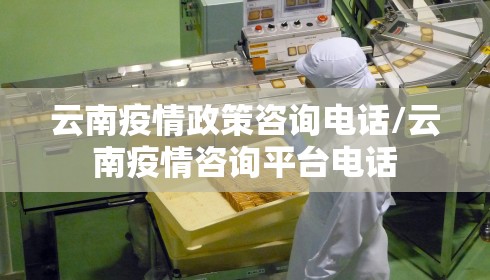 云南疫情政策咨询电话/云南疫情咨询平台电话