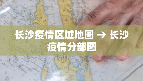 长沙疫情区域地图 → 长沙疫情分部图