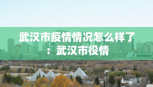 武汉市疫情情况怎么样了：武汉市役情