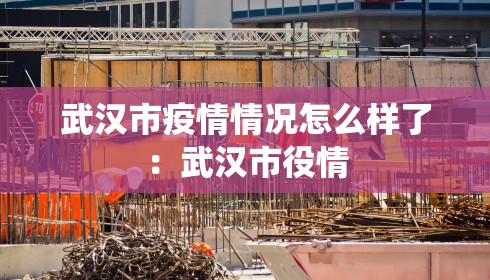 武汉市疫情情况怎么样了：武汉市役情