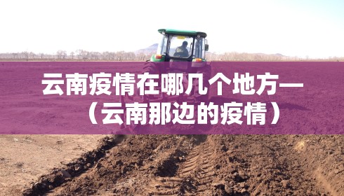 云南疫情在哪几个地方—（云南那边的疫情）