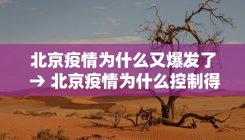 北京疫情为什么又爆发了 → 北京疫情为什么控制得快