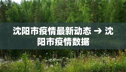 沈阳市疫情最新动态 → 沈阳市疫情数据