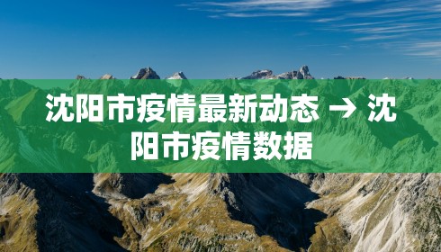 沈阳疫情报告情况—（沈阳疫情情况通报）