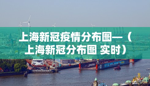 上海新冠疫情分布图—（上海新冠分布图 实时）