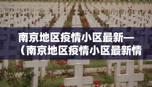 南京地区疫情小区最新—（南京地区疫情小区最新情况）
