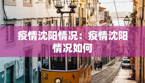 疫情沈阳情况：疫情沈阳情况如何