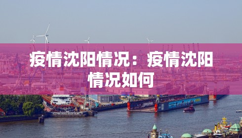 疫情沈阳情况：疫情沈阳情况如何